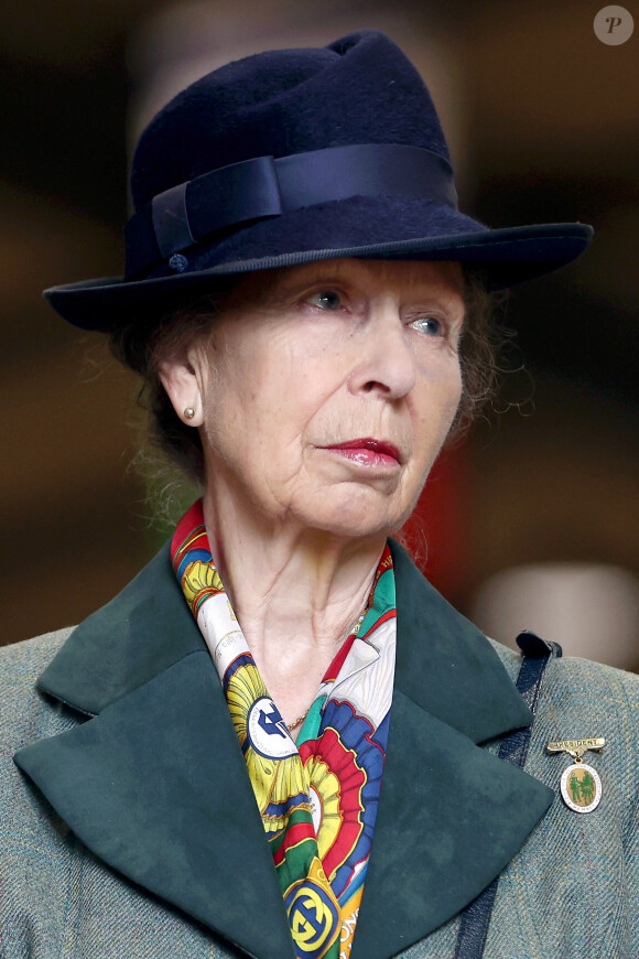 Une vilaine chute qui lui avait valu des "blessures mineures", dont une commotion cérébrale, et pour laquelle elle avait dû se faire hospitaliser.
La princesse Anne d'Angleterre lors des championnats nationaux de la Riding for the Disabled Association (RDA) à l'Université Hartpury et au Hartpury College de Gloucester. Le 12 juillet 2024 © Alpha Press / Bestimage 