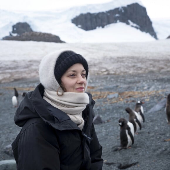 Un sujet qui l'a toujours beaucoup préoccupée
Une photo de Marion Cotillard en Antartique lors d'une voyage organisé par Greenpeace. 