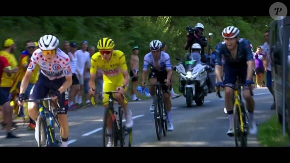 Afin de retransmettre la Grande Boucle, France 2 a supprimé plusieurs de ses rendez-vous quotidiens
Le Tour de France sur France 2