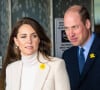 Kate Middleton et le prince William sont des parents très soucieux du bien-être de leurs trois enfants. 
Kate Middleton et le prince William célèbrent le 6ème anniversaire de leur fils Louis à Londres.