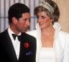 Gare à ceux qui ne réussissent pas ce test puisque comme l'explique le biographe royal Andrew Morton, "ils s'effacent de la faveur royale comme la brume des Highlands" et ne sont plus invités.
Archives : Lady Diana