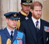 L'heure fut au recueillement pour les princes Harry et William. 
Le prince William, prince de Galles et Le prince Harry, duc de Sussex - Funérailles d'Etat de la reine Elizabeth II d'Angleterre, à Londres, Royaume Uni.