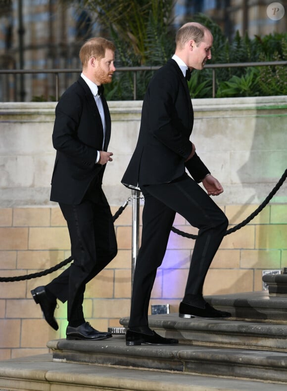 Le prince Harry, duc de Sussex, le prince William, duc de Cambridge lors de la première mondiale de la série Netflix "Our Planet" au Musée d'histoire naturelle de Londres le 4 avril 2019. 