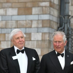 Le prince William, duc de Cambridge, Sir David Attenborough, le prince Charles, prince de Galles, le prince Harry, duc de Sussex lors de la première mondiale de la série Netflix "Our Planet" au Musée d'histoire naturelle de Londres le 4 avril 2019. 