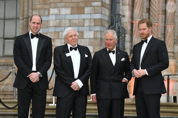 Le prince William, duc de Cambridge, Sir David Attenborough, le prince Charles, prince de Galles, le prince Harry, duc de Sussex lors de la première mondiale de la série Netflix "Our Planet" au Musée d'histoire naturelle de Londres le 4 avril 2019. 