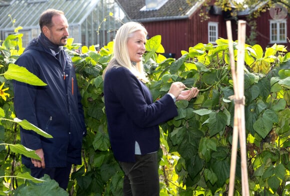 La princesse Mette-Marit de Norvège, le prince Haakon de Norvège lors d'une rencontre avec des enfants et des représentants de l’entreprise d’aménagement paysager « U.Reist » et de l’association communautaire de culture Lilleaker Samdyrkelag au Jardin de Fåbro à Oslo. Le 25 septembre 2024  