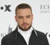 Une enquête est actuellement en cours pour déterminer les circonstances exactes de sa chute...
Liam PAYNE, chanteur, tapis rouge, spectacle sur tapis rouge, arrivée, arrivée, cérémonie de remise des prix ECHO POP - Prix de la musique allemande 2018 à la Messe Berlin, Palais am Funkturm, le 12 avril 2018.