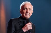 MAISON DE STARS Charles Aznavour : Son paradis provençal, avec spa et oliveraie, et à vous pour 850 euros la nuit !