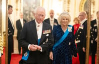 Charles III et Camilla retrouvent le sourire : après l'épreuve, le couple royal en 1ère ligne