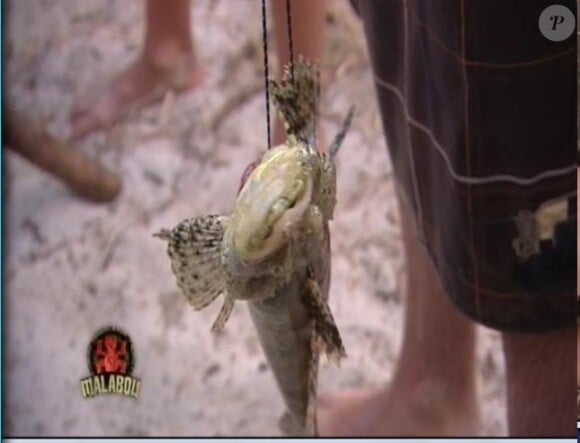 Taïg a pêché un joli poisson à déguster ! (épisode 3 de Koh Lanta / 9 avril 2010)