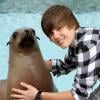 Justin Bieber, star des ados, se rend au parc aquatique Atlantis  Paradise Island avec des amis, et partage un moment privilégié avec des  dauphins et une otarie, il y a quelques jours, aux Bahamas.