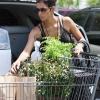 Halle Berry s'achète des plantes, le 4 juin 2010