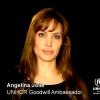 Angelina Jolie lance un message pour les sinistrés du Pakistan