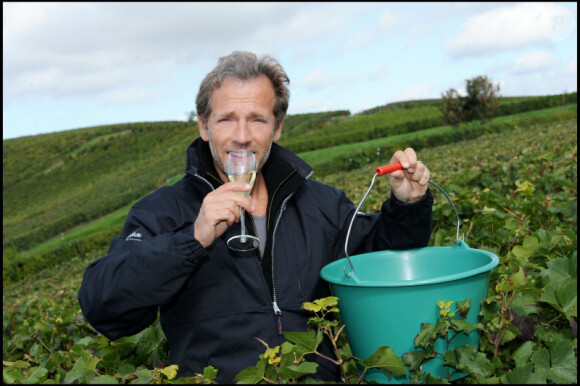 Stéphane Freiss fait les vendanges à Epernay pour les champagnes Nicolas Feuillatte le 19 septembre 2010