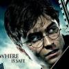 Harry Potter et les Reliques de la mort : Daniel Radcliffe