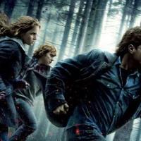 Harry Potter : Les héros lèvent le voile sur la fin de la saga culte au cinéma !