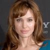 Angelina Jolie a refusé le premier rôle féminin de Gravity.