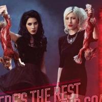 Quand les jumelles de The Veronicas s'engagent pour une campagne choc !