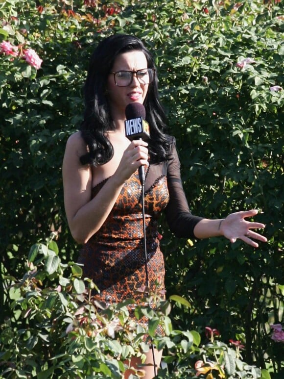 La chanteuse Katy Perry craque pour un modèle carré, gros verre et grosse monture.
