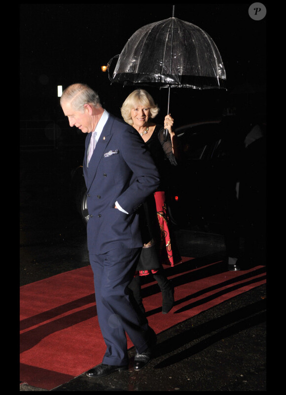 Le prince Charles et Camilla Parker Bowles lors du Gala Trust Rock du prince au Royal Albert Hall à Londres le 17 novembre 2010