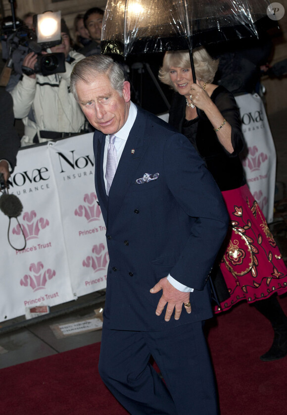 Le prince Charles et Camilla Parker Bowles lors du gala du prince Trust Rock au Royal Albert Hall à Londres le 17 novembre 2010