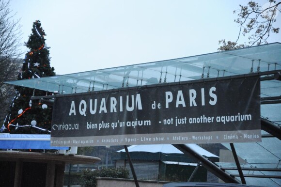 Angelina Jolie et sa fille Vivienne à l'Aquarium de Paris, le 1 er décembre 2010