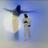 Hold my hand, de Michael Jackson et Akon