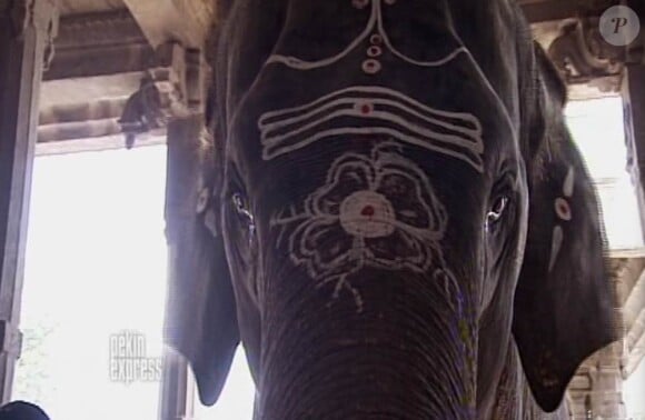L'éléphant sacré dans Pékin Express : duos de choc