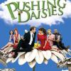 la série Pushing Daisies (NRJ 12) est prévue dans la hotte du Père Noël pour égayer notre année 2011 !