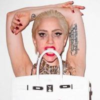 Quand Lady Gaga, à moitié nue, se transforme en tigresse trash !