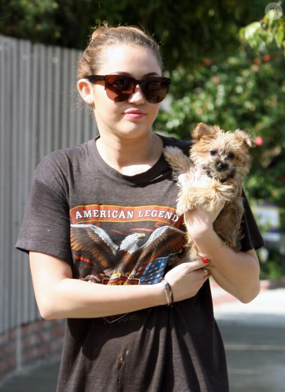 Miley Cyrus et son petit chien dans les rues de Los Angeles, le 8 février 2011