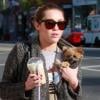 Miley Cyrus, son nouveau chéri Josh Bowman et son petit chien dans les rues de Los Angeles, le 8 février 2011