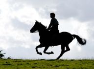 War Horse : Les premières images du nouveau film de Steven Spielberg !