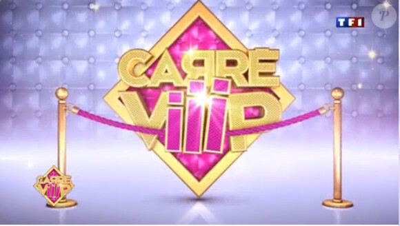 Carré ViiiP est diffusé du lundi au vendredi à 18h15 et le dimanche à 17h50 sur TF1.