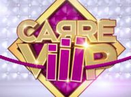 Carré Viiip : Révélations, couples et musique...Toutes les exclus de ce soir !