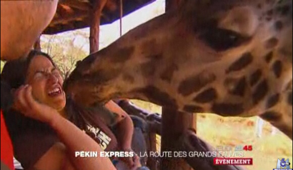 Leïla embrasse une girafe dans la bande-annonce Pékin Express : la route des grands fauves diffusée le jeudi 19 mai 2011