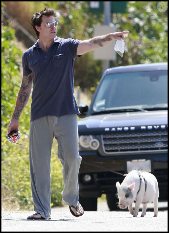 Dean McDermott promène Hank, le porcelet adopté par sa famille, lundi 30 mai 2011 à Los Angeles.