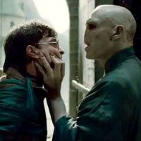 Harry Potter et les Reliques de la Mort 2 : Polémique autour de l'avant-première