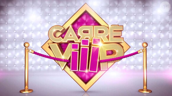Carré Viip déprogrammé de TF1 le 31 mars 2011.