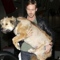 Ryan Gosling : Jamais sans son chien... et son adorable assistante