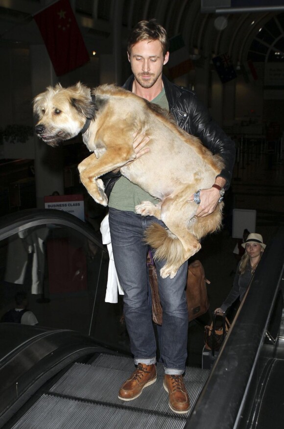 Ryan Gosling et son chien arrivant à l'aéroport de LAX le 17 juin 2011. Son chien étant vieux et fatigué, il le porte. 