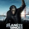 L'affiche du film La Planète des singes : les origines