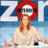 Mélissa Theuriau sur le plateau de Zone Interdite