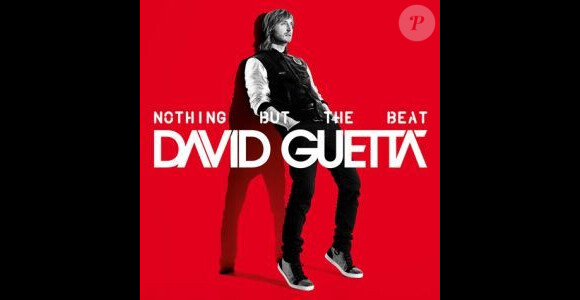 L'album de David Guetta, Nothing but the beat