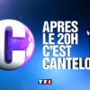Après le 20h, c'est Canteloup avec Nicolas Canteloup sur TF1