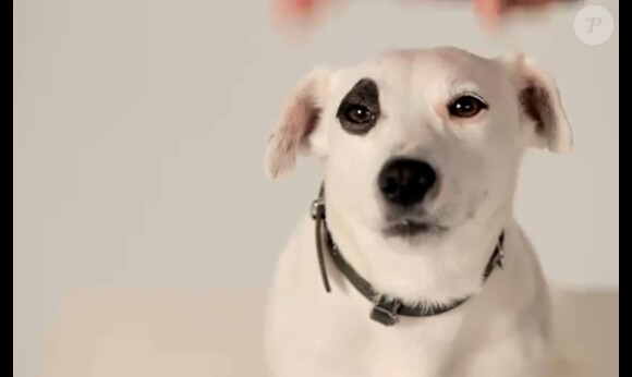Christophe Dechavanne arrive avec Chac à partir du 16 novembre sur TMC.