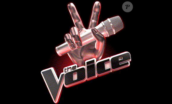 The Voice, la nouvelle télé-réalité de TF1
