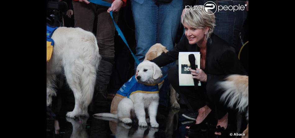 sophie davant et un chien lors du telethon 2011 le 3 decembre 2011 sur les chaines du groupe france televisions purepeople
