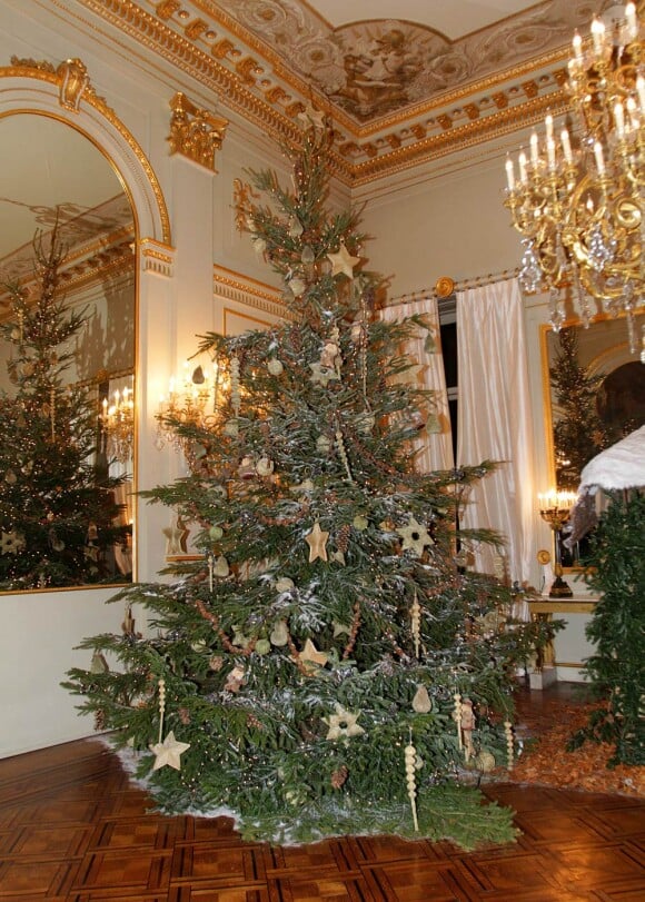 Au lendemain de la tuerie de Liège, le roi Albert II et la reine Paola de Belgique donnaient mercredi 14 décembre 2011 leur traditionnel concert de Noël, au Palais, à Bruxelles.