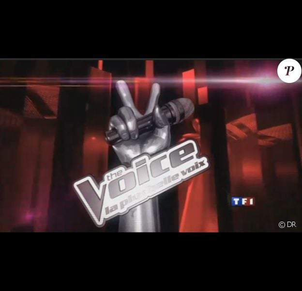 The Voice, futur télé-crochet de TF1